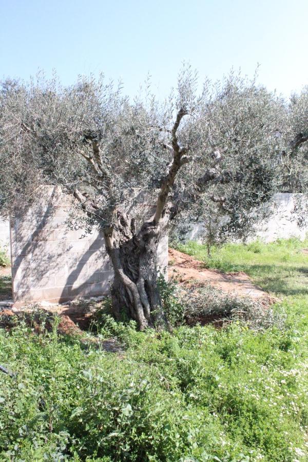 فرنولي Piccolo Ulivo B&B Salento المظهر الخارجي الصورة
