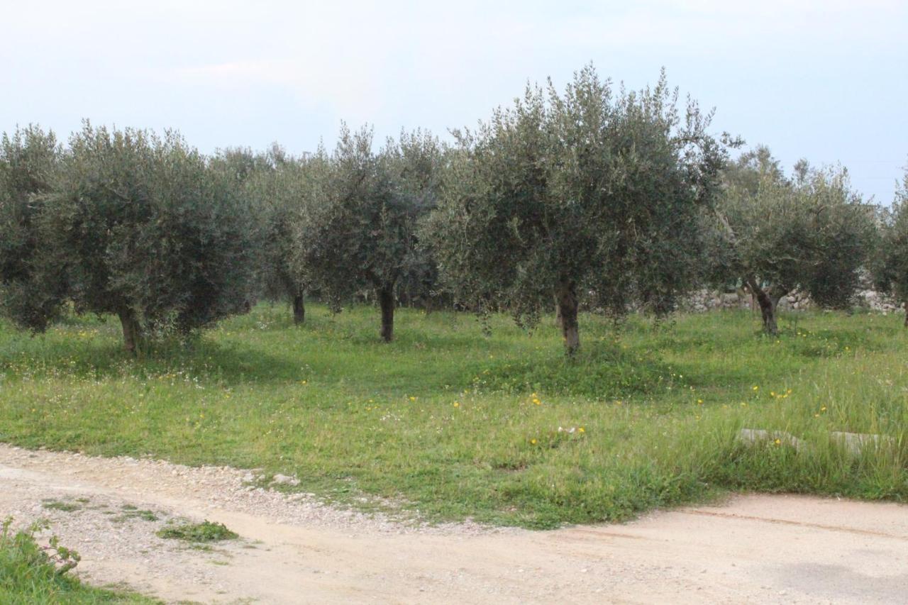 فرنولي Piccolo Ulivo B&B Salento المظهر الخارجي الصورة