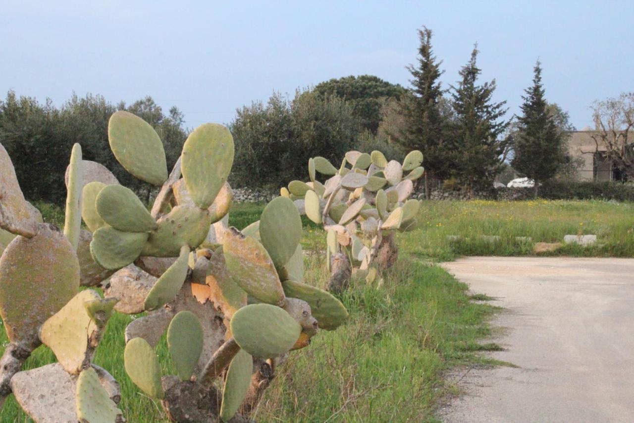 فرنولي Piccolo Ulivo B&B Salento المظهر الخارجي الصورة