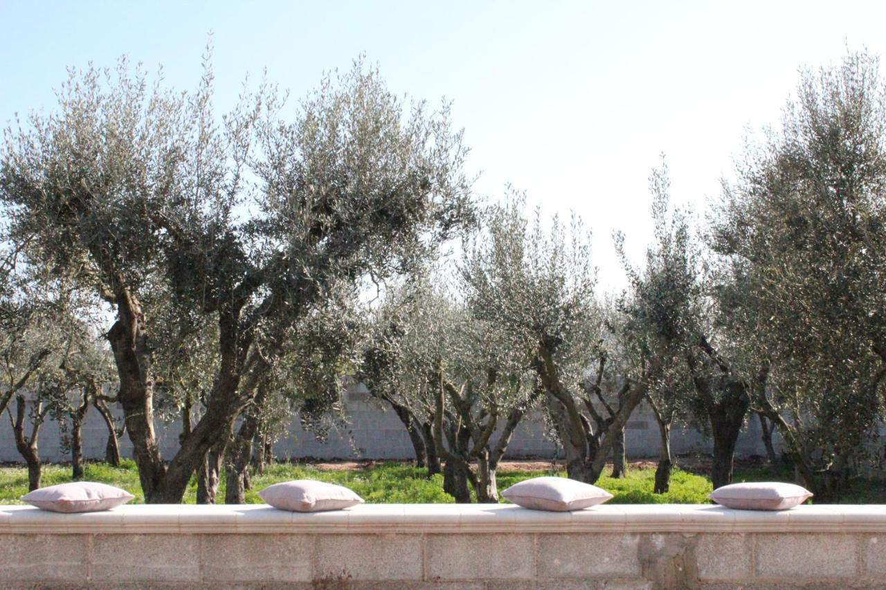 فرنولي Piccolo Ulivo B&B Salento المظهر الخارجي الصورة