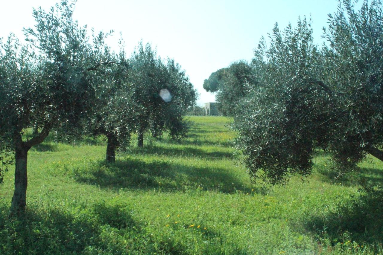 فرنولي Piccolo Ulivo B&B Salento المظهر الخارجي الصورة