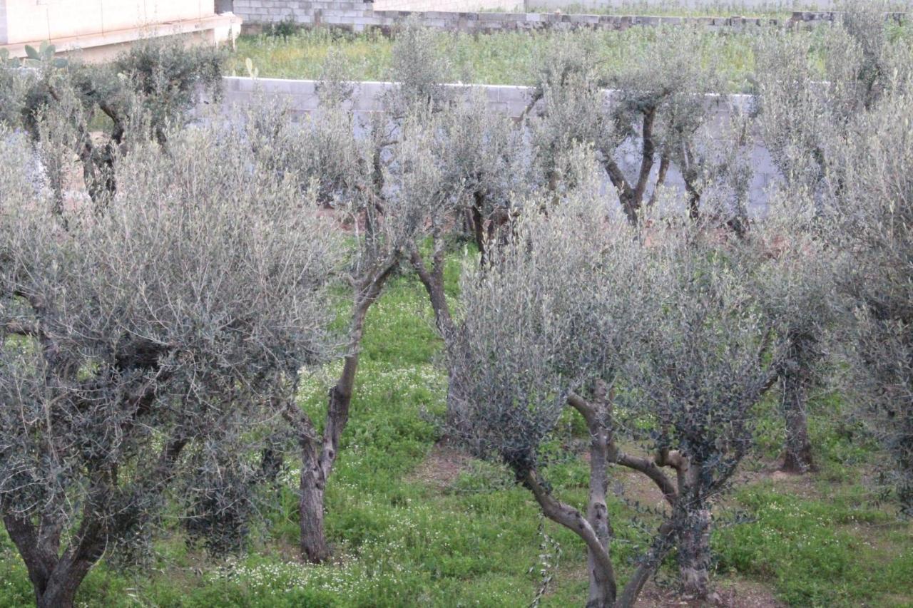 فرنولي Piccolo Ulivo B&B Salento المظهر الخارجي الصورة